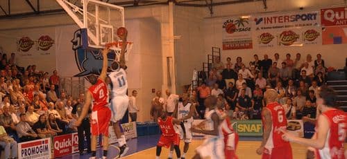 Basket : les Sharks souffrent mais s’imposent largement   