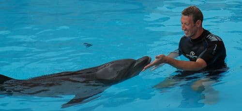 Marineland : belle rencontre entre Alain Bernard et les dauphins  