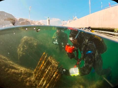 Juan : déjà "port propre", Gallice maintenant certifié "actif en biodiversité" 