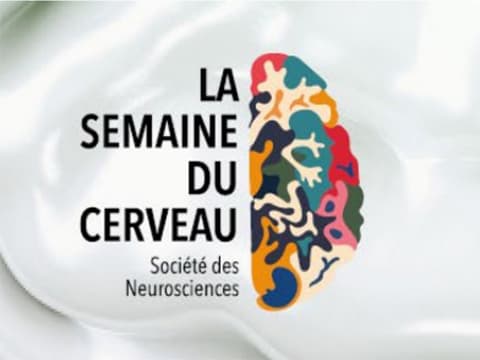 "Semaine du Cerveau 2021" : les temps forts à vivre de chez soi !