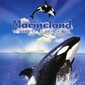 Marineland accueille le Festival Mondial de lImage sous marine