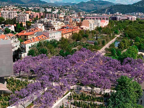 Nice : le petit "central park" du Paillon se dévoile