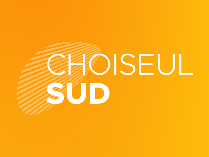 Choiseul Sud Logo